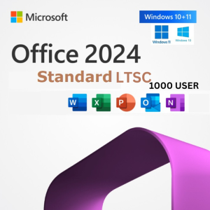 Office 2024 standard LTSC 1000